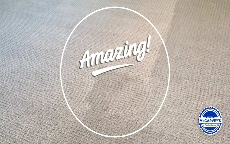 Amazing Carpet Results