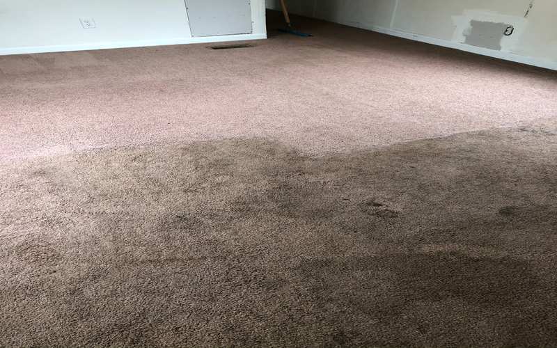 Before After Carpet