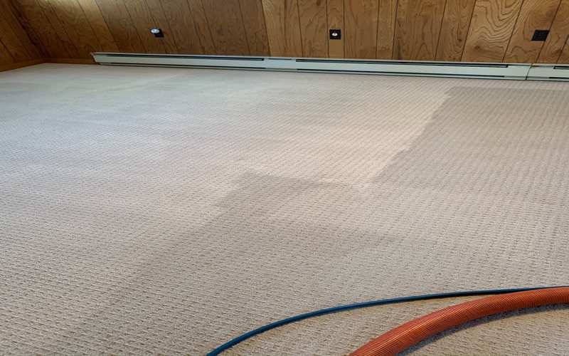 Carpet Cleaning Results