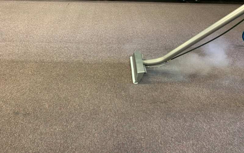 Steam Carpet Cleaning